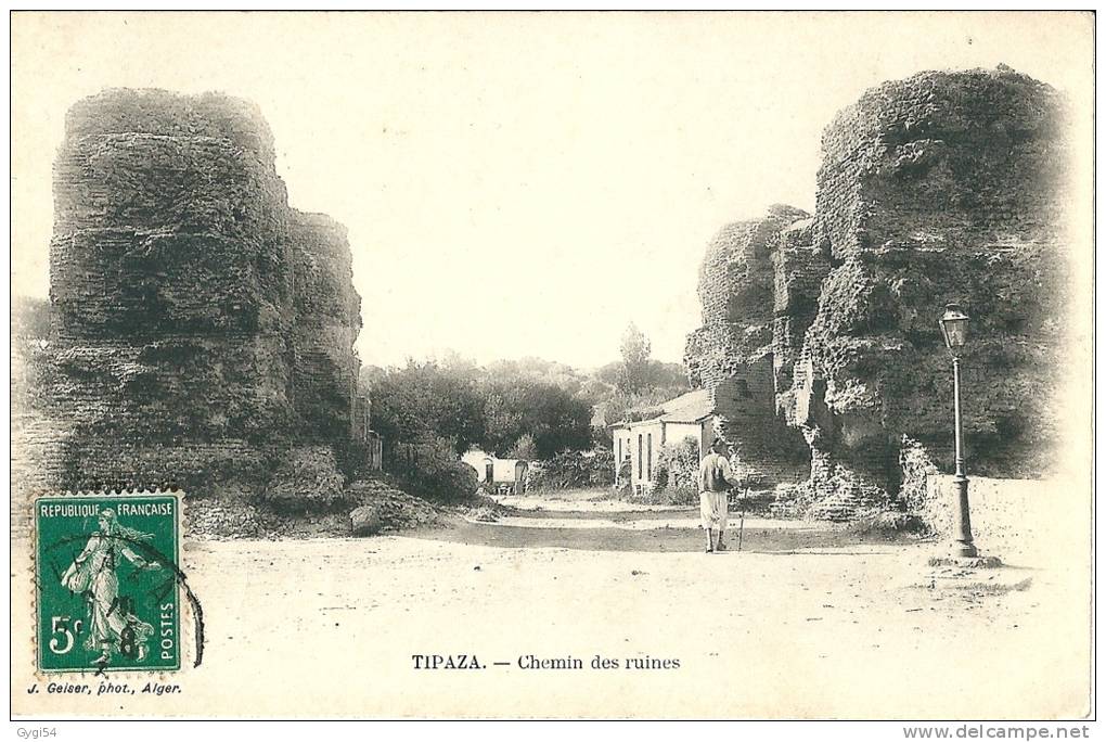 ALGERIE TIPAZA / Chemin des ruines / cpa 1917
