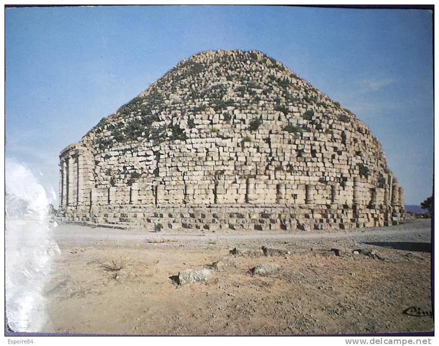 C. Postale  ALGERIE - TIPAZA - LE TOMBEAU DE LA CHRETIENNE (Ruines romaines)