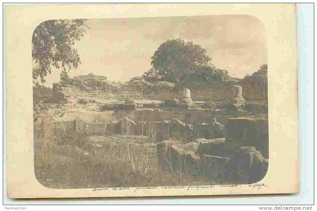 ALGERIE TIPAZA CARTE PHOTO DES RUINES D'UNE FONTAINE ROMAINE PROPRIETE TREMEUE ?