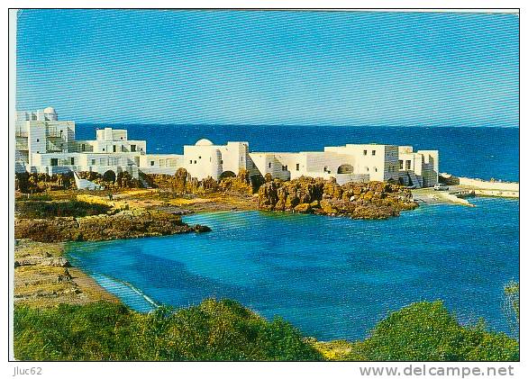 CP.   TIPAZA.  STATION  BALNEAIRE