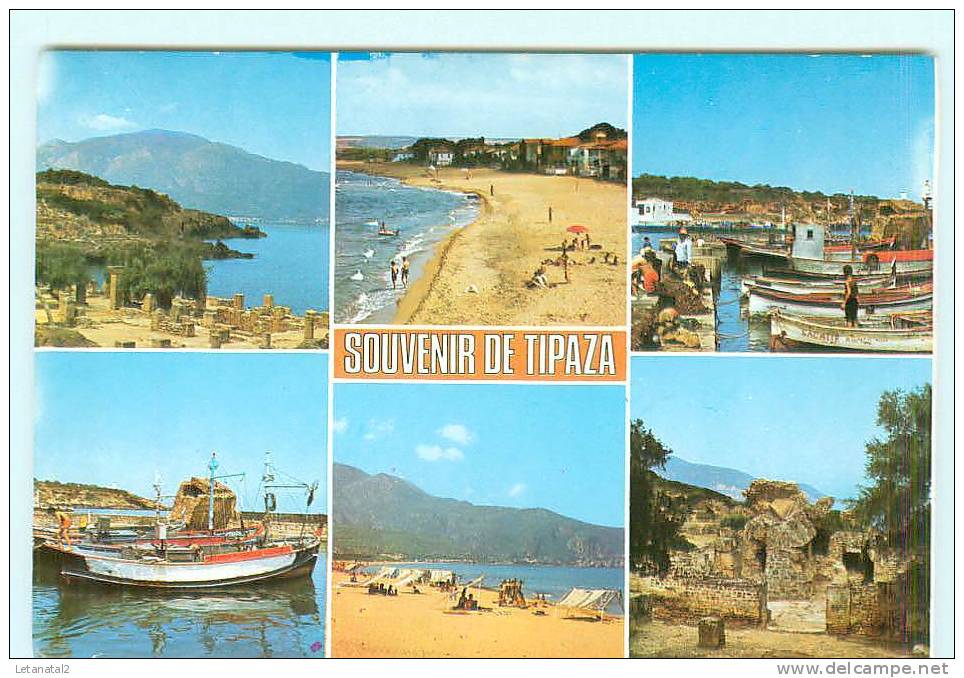 TIPAZA  multi-veus , bateau de pêche