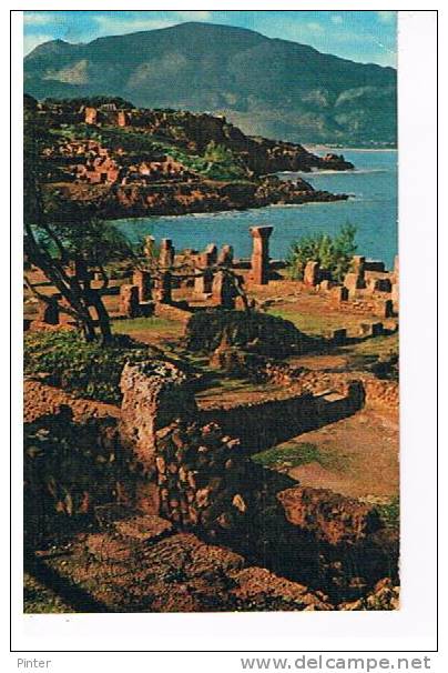 ALGERIE - TIPAZA - Vue prise de la colline Est
