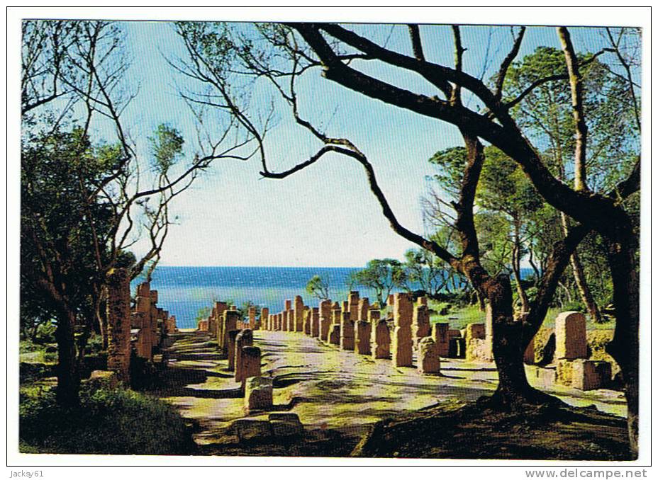 tipaza -ruines romanes