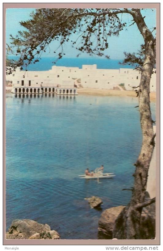 CP CPSM ALGERIE TIPAZA CLUB