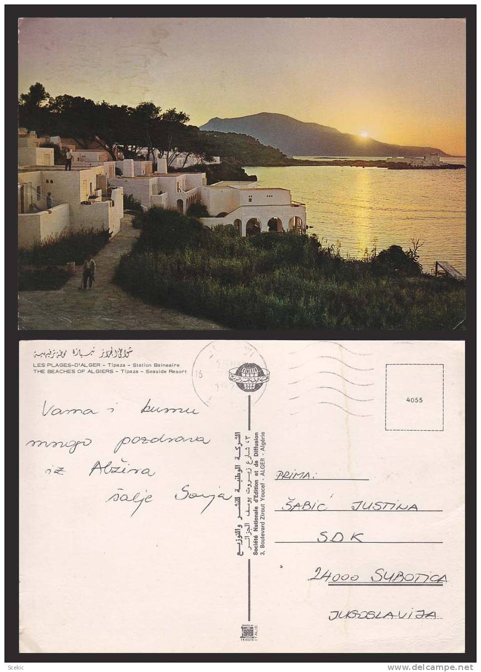 ALGERIA TIPAZA SEASIDE RESORT POSTCARD - D7352