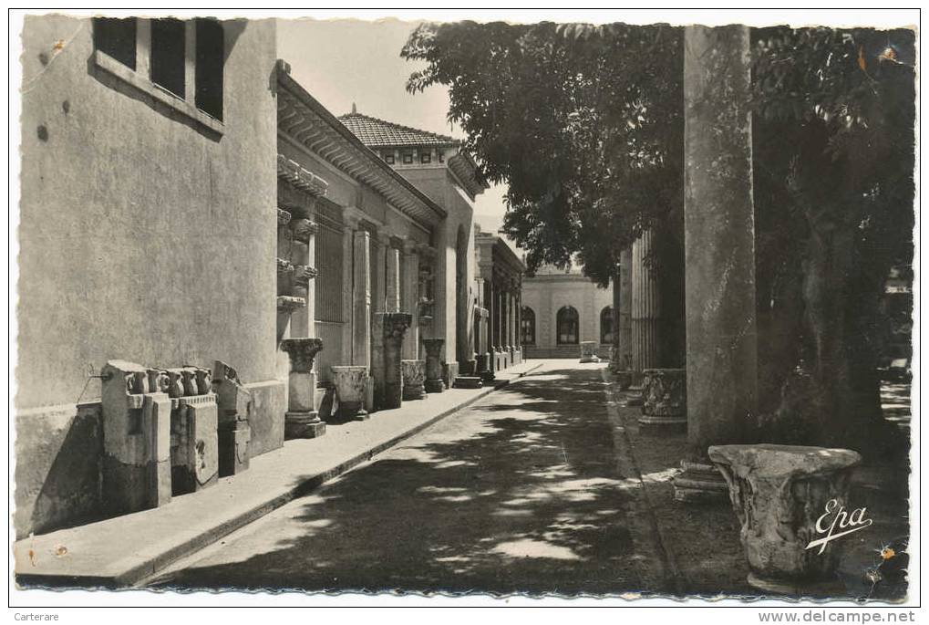 ALGERIE,AFRIQUE DU NORD,époque coloniale Française,wilaya TIPAZA,CHERCHELL,le musée en 1957,antiquité,rare