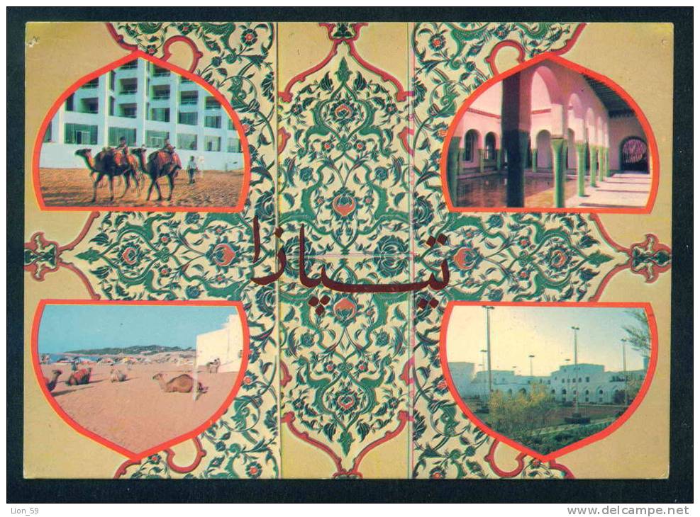 SOUVENIR DE TIPAZA - MATARES - CAMEL - Algerie  Algeria Algerien 60074