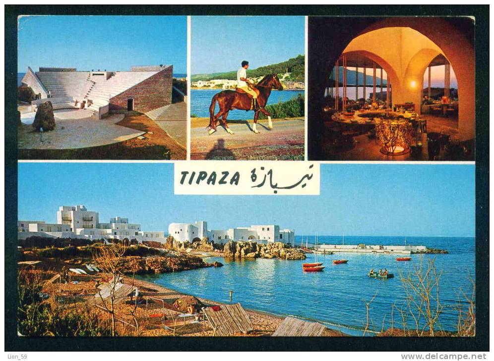 TIPAZA - LES PLAGES - HORSE - STATION BALNEAIRE - Algerie  Algeria Algerien 60071