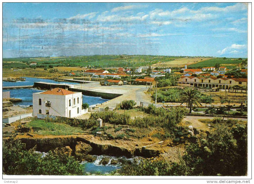 Algérie Tipaza écrite année ?