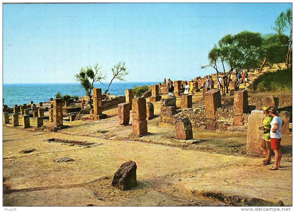 TIPAZA