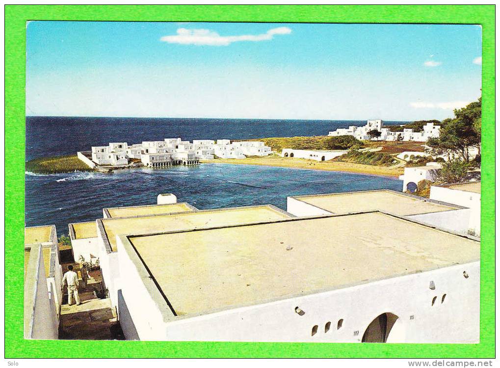 TIPAZA - STation Balnéaire