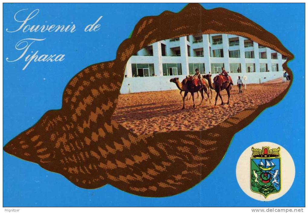 ALGERIE / ALGERIEN        Souvenir de Tipaza Matares