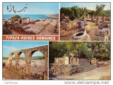 Souvenir de tipaza ruines romaines  multi vues CPM ou CPSM