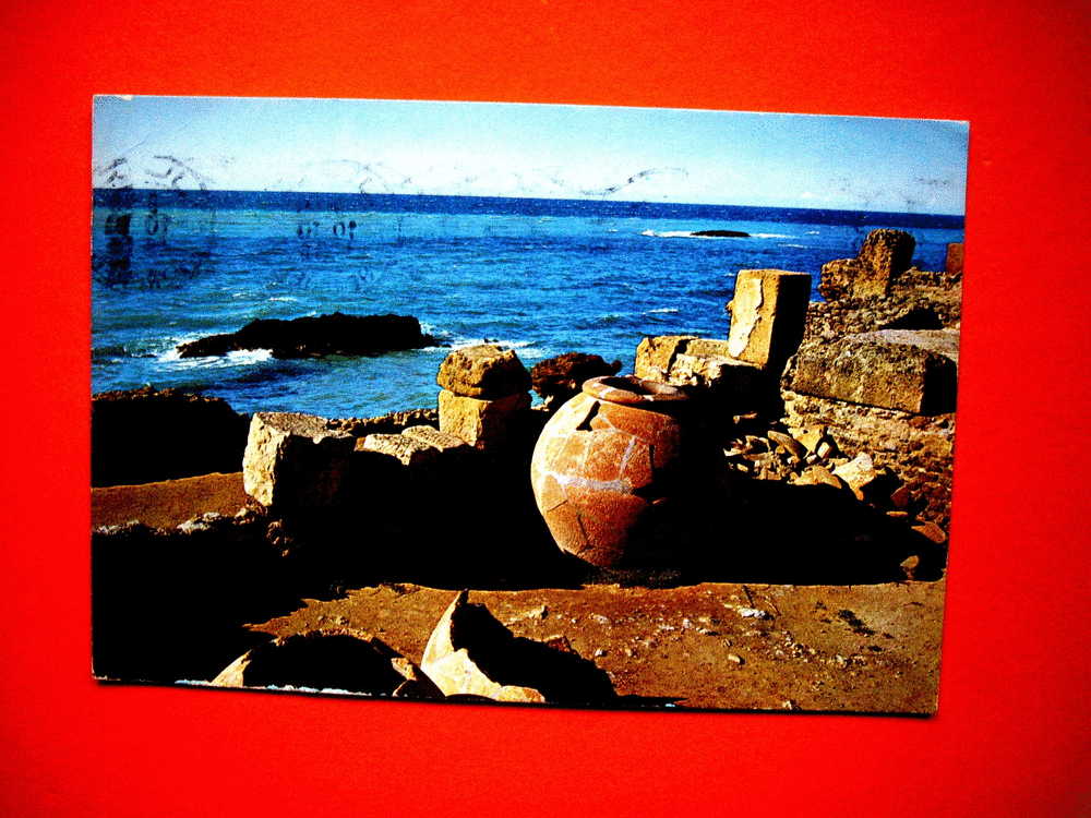 Carte postale  TIPAZA  ruines romaines