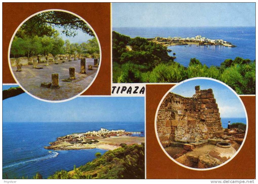 ALGERIE / ALGERIEN  Tipaza