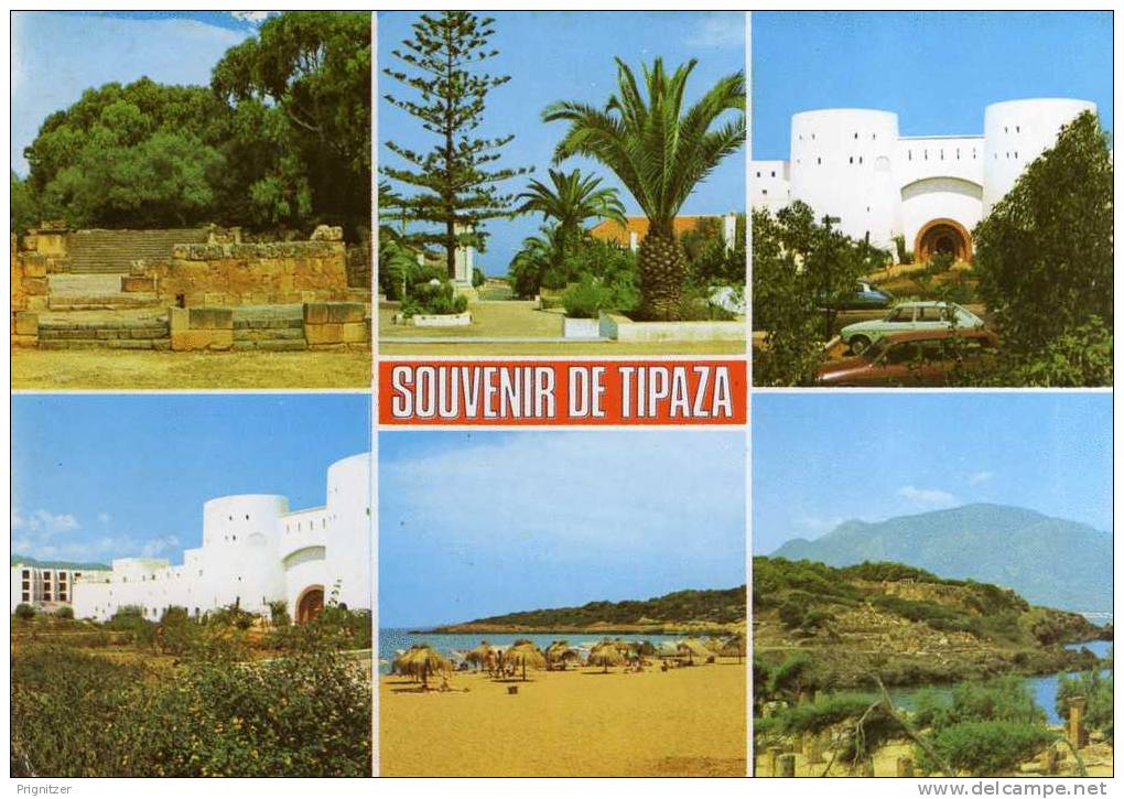 ALGERIE / ALGERIEN   Tipaza     Souvenier de Tipaza