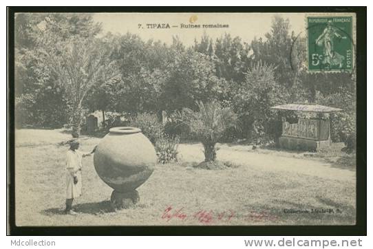 ALGERIE TIPAZA /           Ruines romaines       /