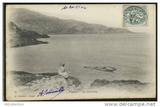 ALGERIE TIPAZA /           Le chenoua       /