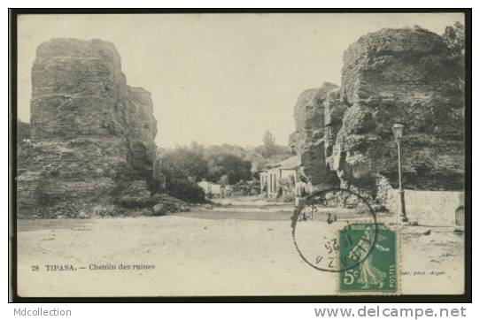 ALGERIE TIPAZA /           Chemin des ruines       /