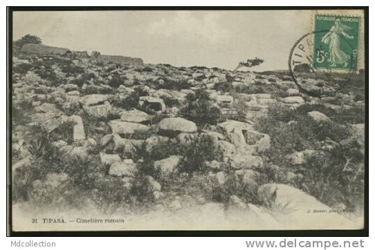 ALGERIE TIPAZA /          Cimetière romain        /
