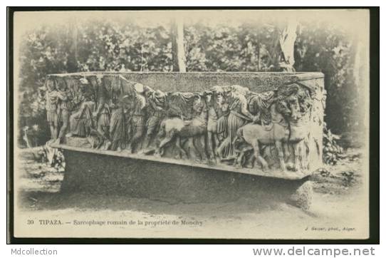 ALGERIE TIPAZA /          Sarcophage romain de la propriété de Monchy        /