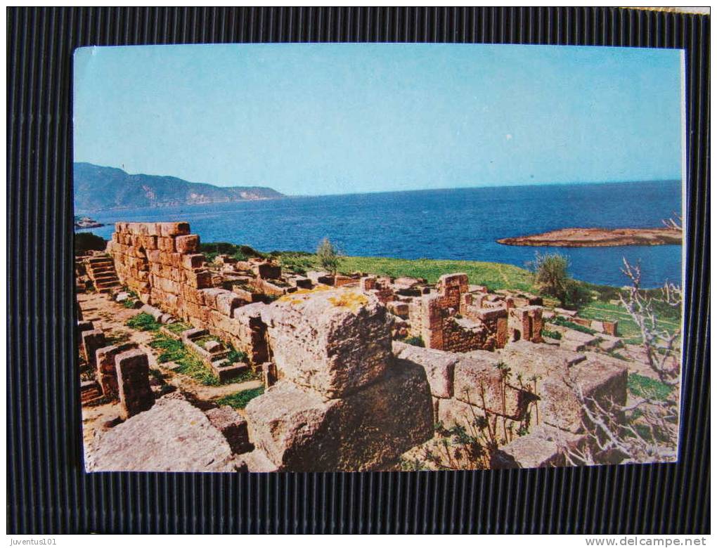 CPSM ALGERIE-Tipaza-Ruines Romaine
