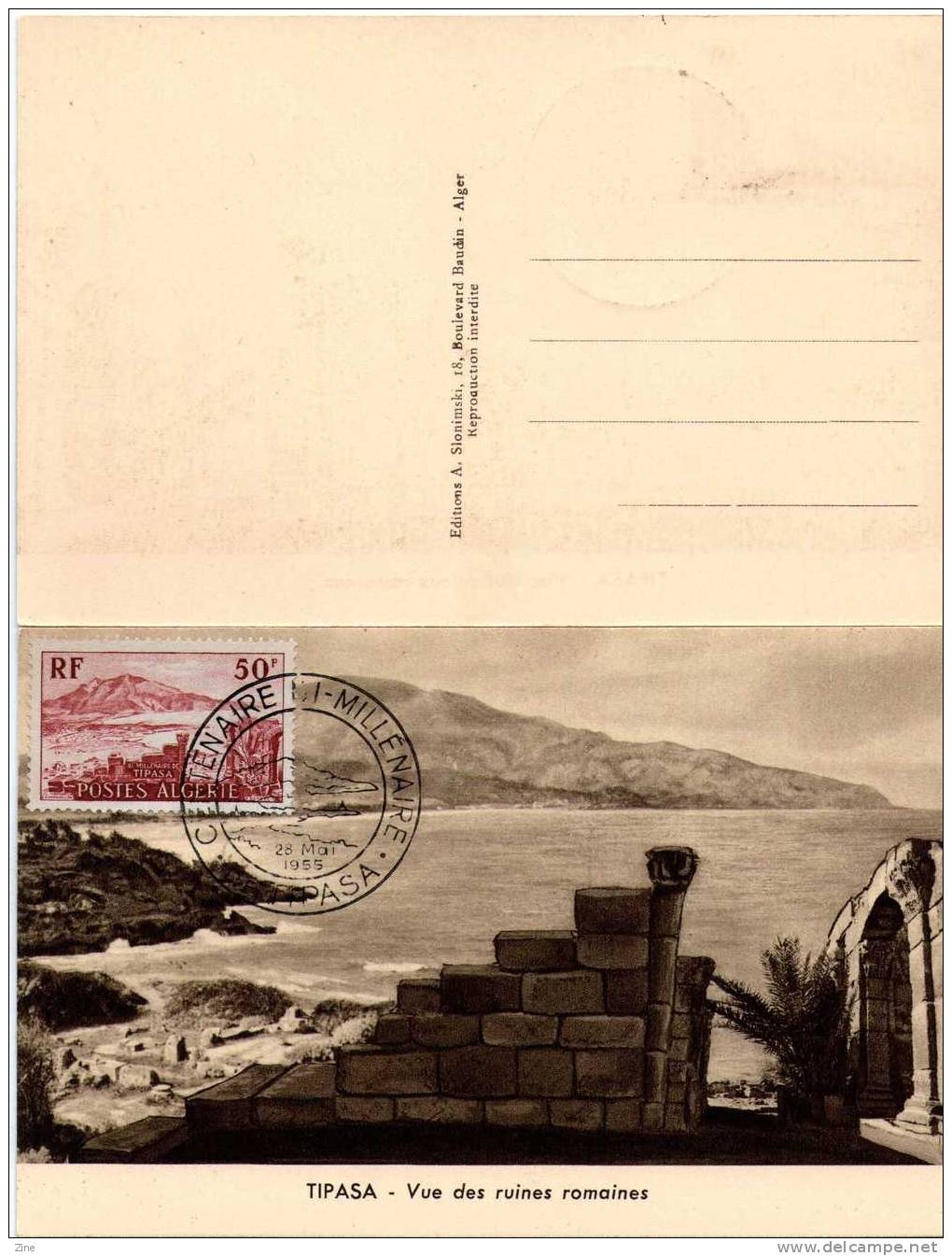 Algérie Carte postale Ruines de Tipaza TP n° 327 TTB
