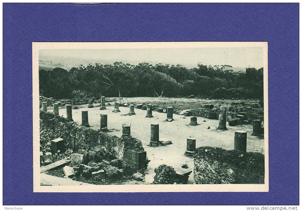 AC341) TIPAZA   ruines romaines  ( TTB état)
