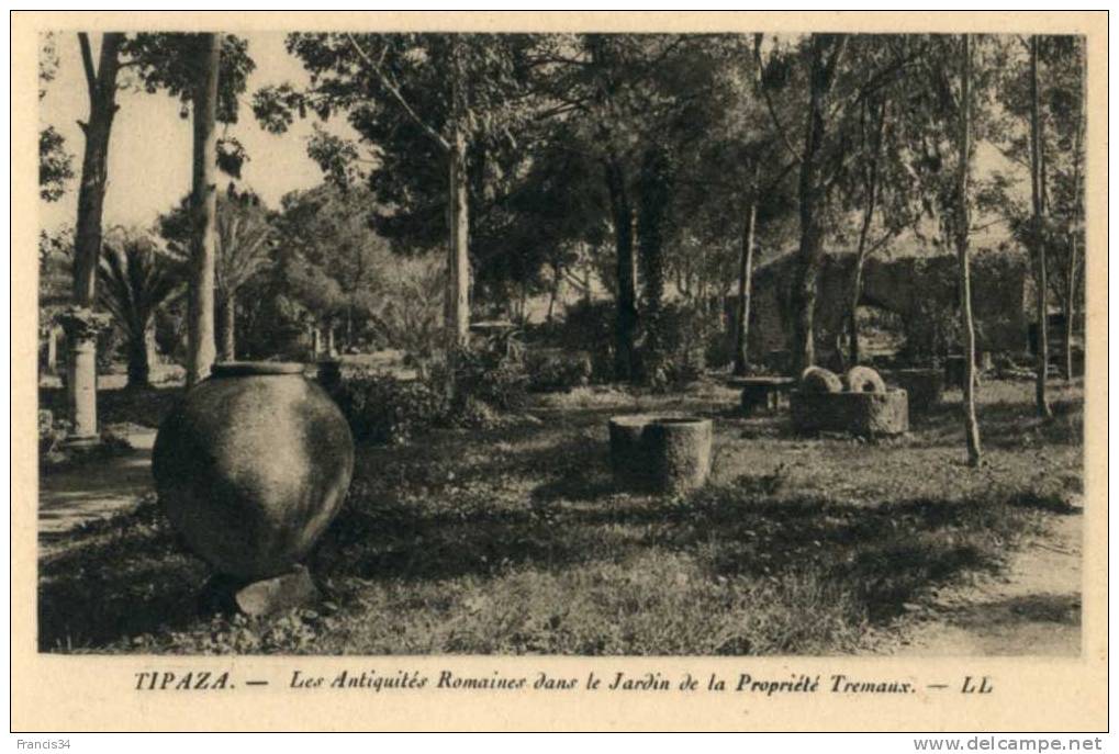 CPA - Tipaza - Les Antiquités Romaines dans le jardin de la propriété Tremaux