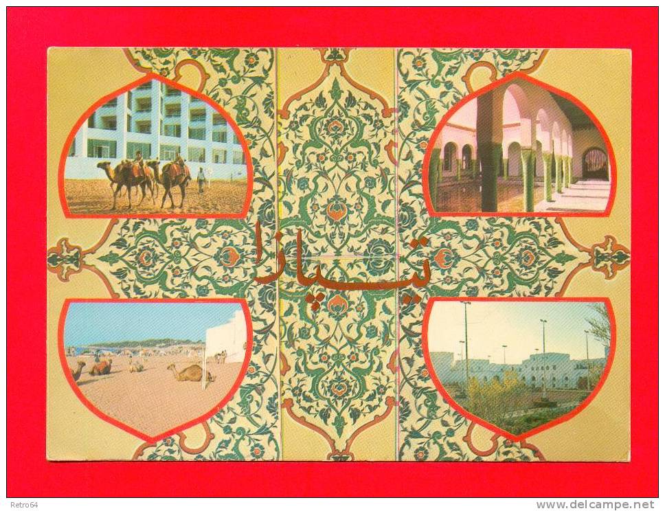 CPM  ALGERIE  -  TIPAZA-MATARES  -  Souvenir de Tipaza-Matares