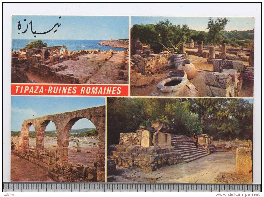 ALGERIE --TIPAZA --RUINES ROMAINES   ---RECTO / VERSO-------b7