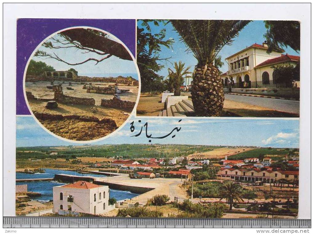 ALGERIE --TIPAZA--MULTI VUES  ---RECTO / VERSO-------b7