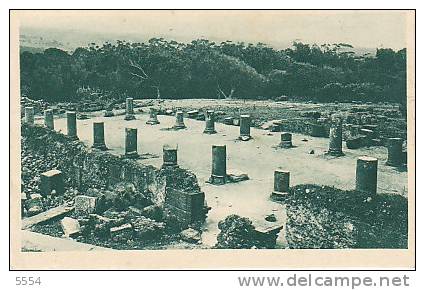 cpa afrique algerie    tipaza basilique judiciaire