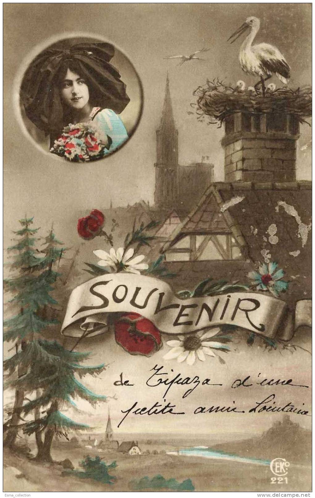 Alsace - Souvenir de Tipaza d'une petite amile lointaine