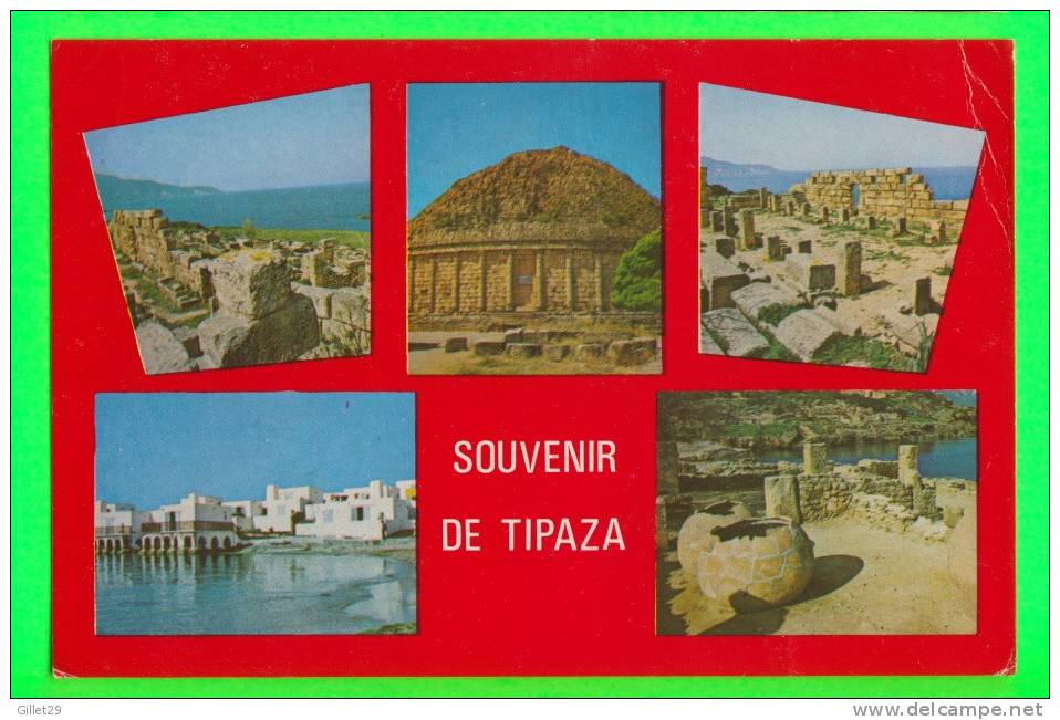 TIPAZA, ALGÉRIE - RUINE ROMAINE - 5 MULTIVUES - ÉCRITE -