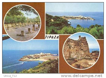 CP  Algerie  Tipaza   - neuve