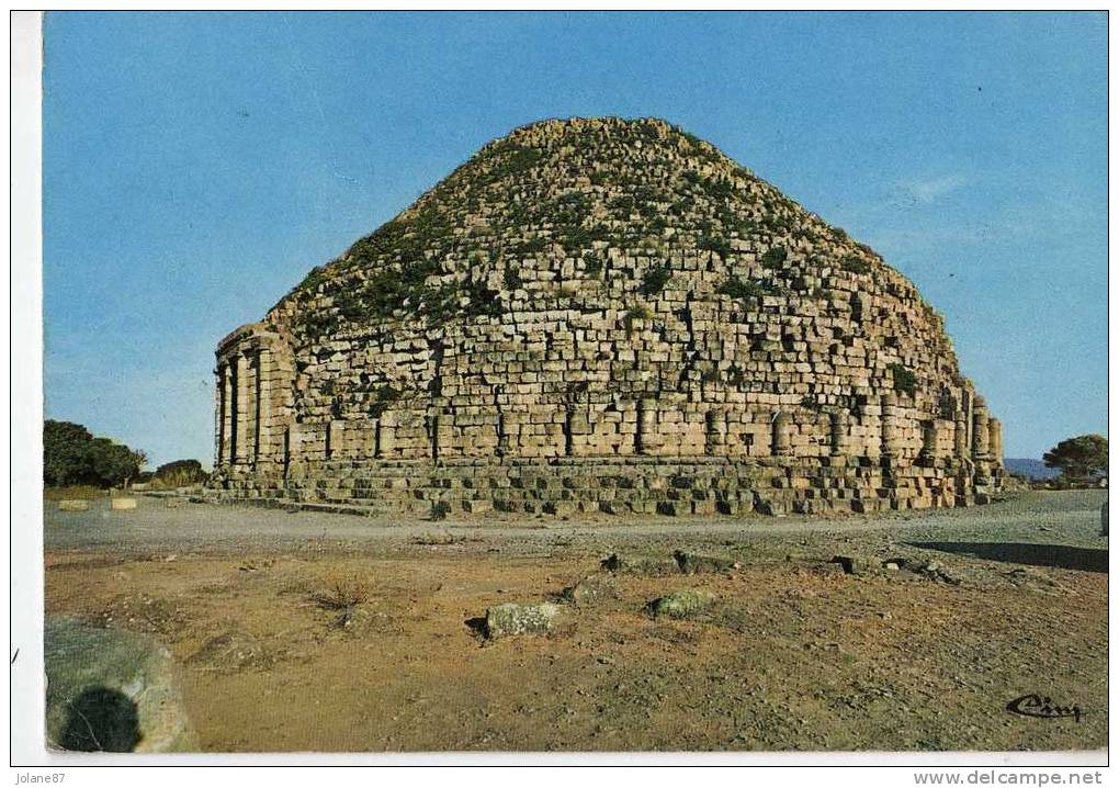 CPM     ALGERIE      TIPAZA      RUINES ROMAINES