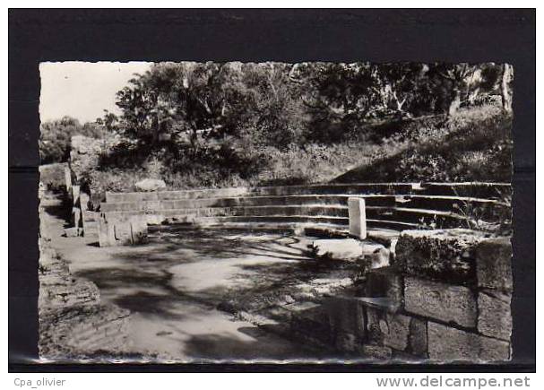 ALGERIE Tipasa (Tipaza) Théatre, Ruines, ed Pacini 213, CPSM 9x14, 195?