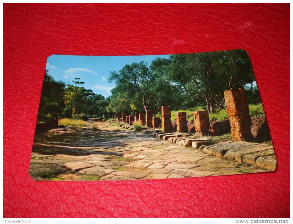 Cpa Tipaza - La Route Imperiale Alger Cherchell