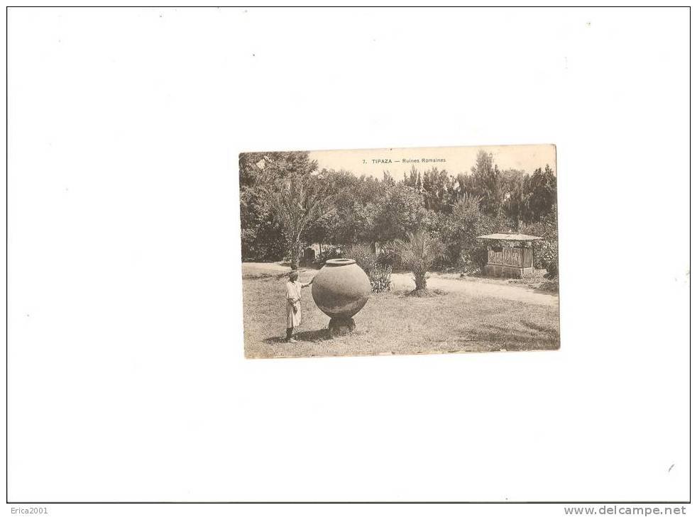 Autres villes. Tipaza   .les ruines romaines.