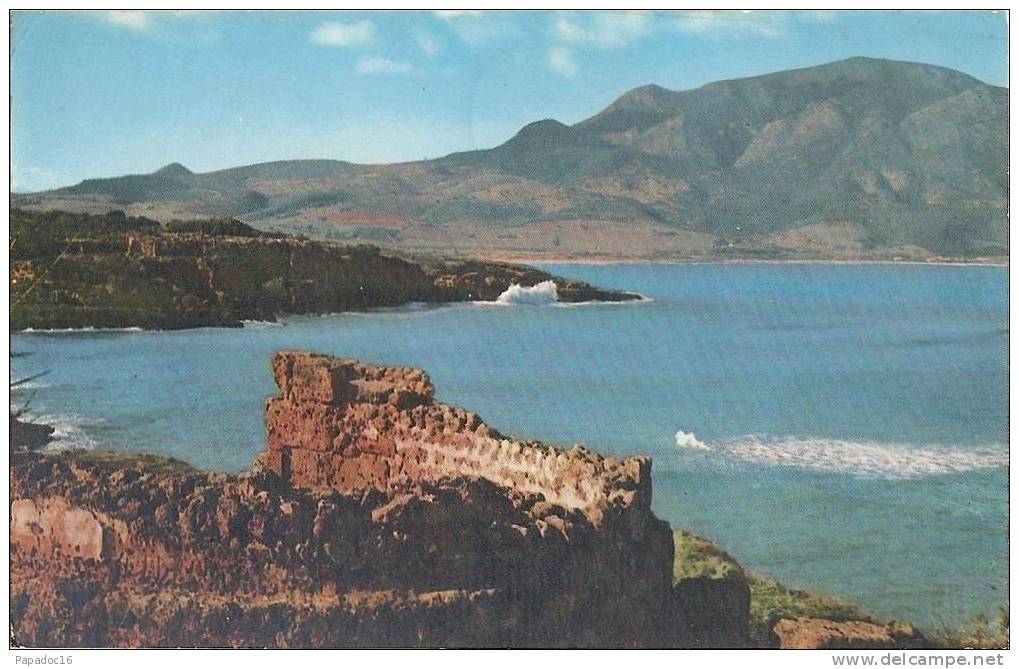 DZ - Tipaza - Au fond le Mont Chenoua ... Chenoua Mount - CPSM éd. Agence de Tourisme Algérienne ATA 29 (circulée 1964)