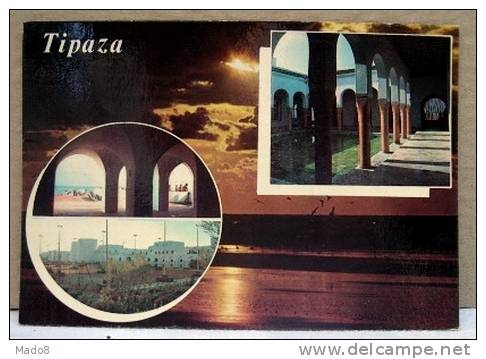 cpsm Tipaza  Algérie - Souvenir de Tipaza Matares , avec la Ville , la Posquée et un beau coucher de soleil -