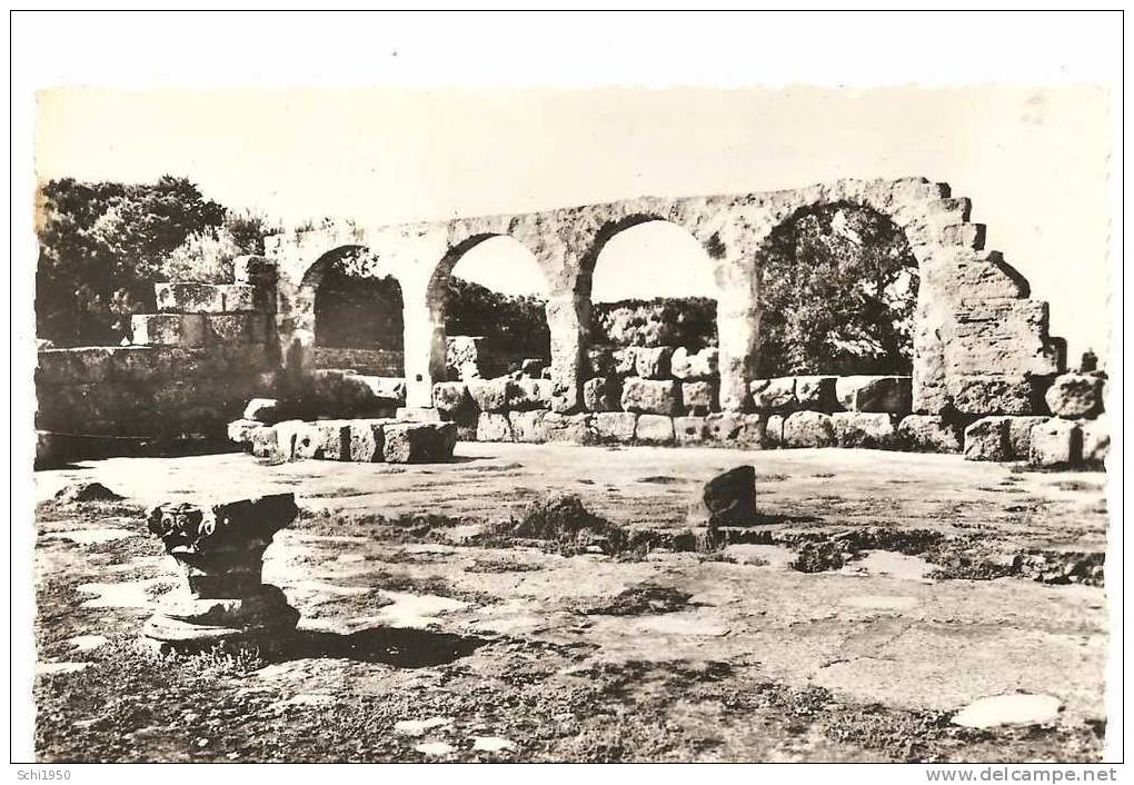 PM- AFRIQUE du NORD - Algérie - TIPAZA - Grande Basilique Romaine