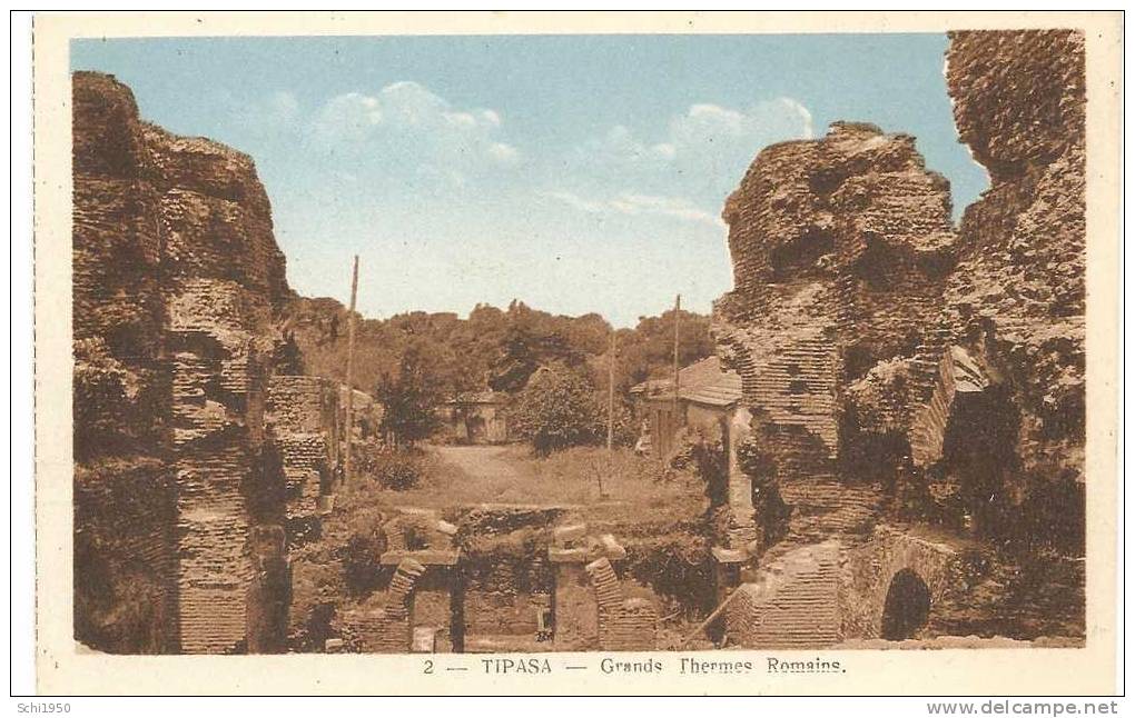PM- AFRIQUE du NORD - Algérie - TIPAZA - Grands Thermes romains
