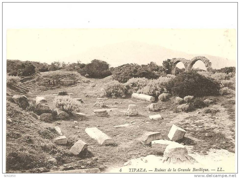 PM- AFRIQUE du NORD - Algérie - TIPAZA - ruines de la Grande Basilique