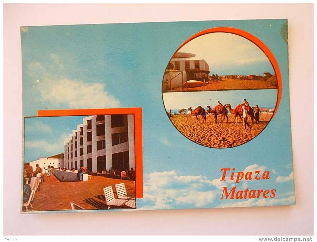Algerie -Algeria -Tipaza- Matares    G  D22182
