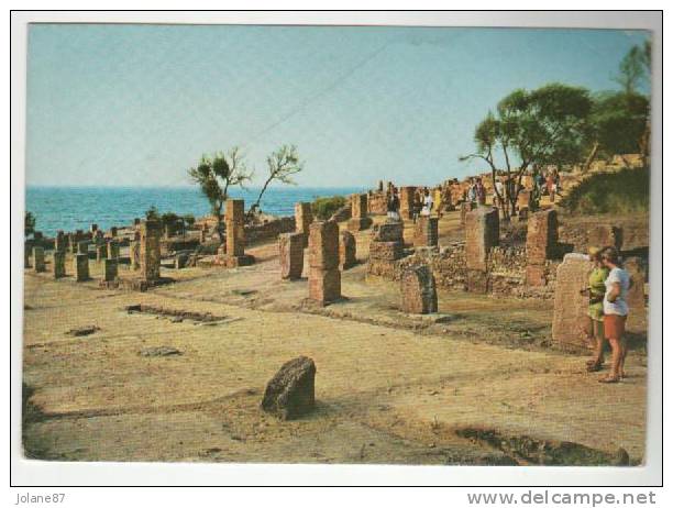 CPM ALGERIE TIPAZA LES RUINES ROMAINES ANIM2E