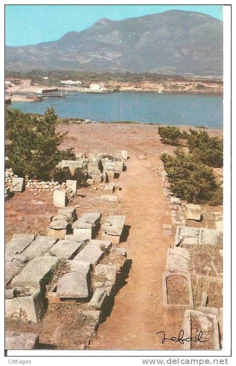 TIPAZA - RUINES ROMAINES