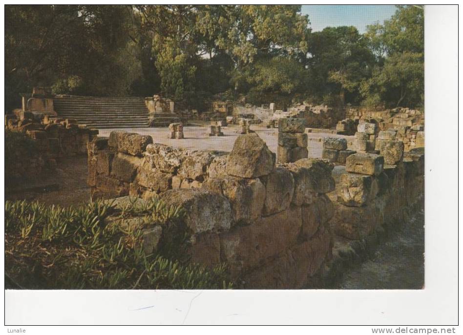 TIPAZA - les ruines
