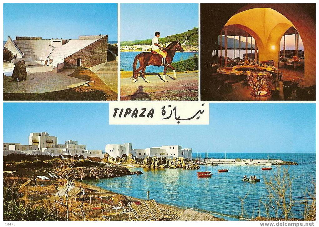 ALGER - Plages, Tipaza, station balnéaire 4 vues